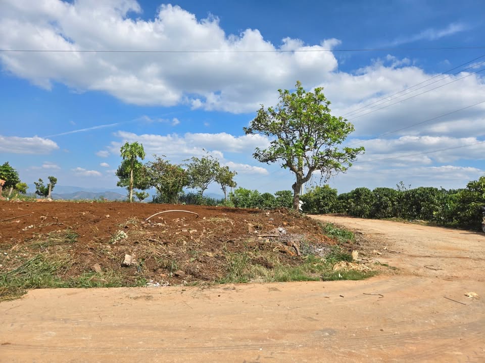 Lô đất 2 mặt tiền Tân Văn, Lâm Hà 100m² giá 750 triệu - Đầu tư sinh lời ngay!