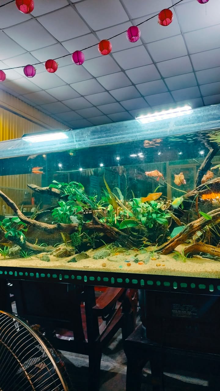 Đất nền Phường Bảo Vinh, 1.300m² giá 350 triệu - Đầu tư sinh lời ngay!