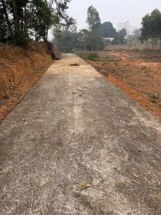 Đất nền Xã Tân Lập, Huyện Sông Lô 600m² giá 600 triệu - Cơ hội đầu tư hấp dẫn!