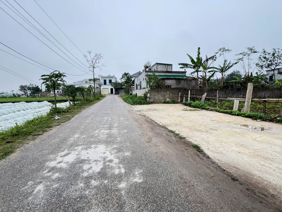 Đất nền Nghi Vạn, Nghệ An 142m² giá 2.3 tỷ - Hướng Đông Nam, vị trí thông thoáng!