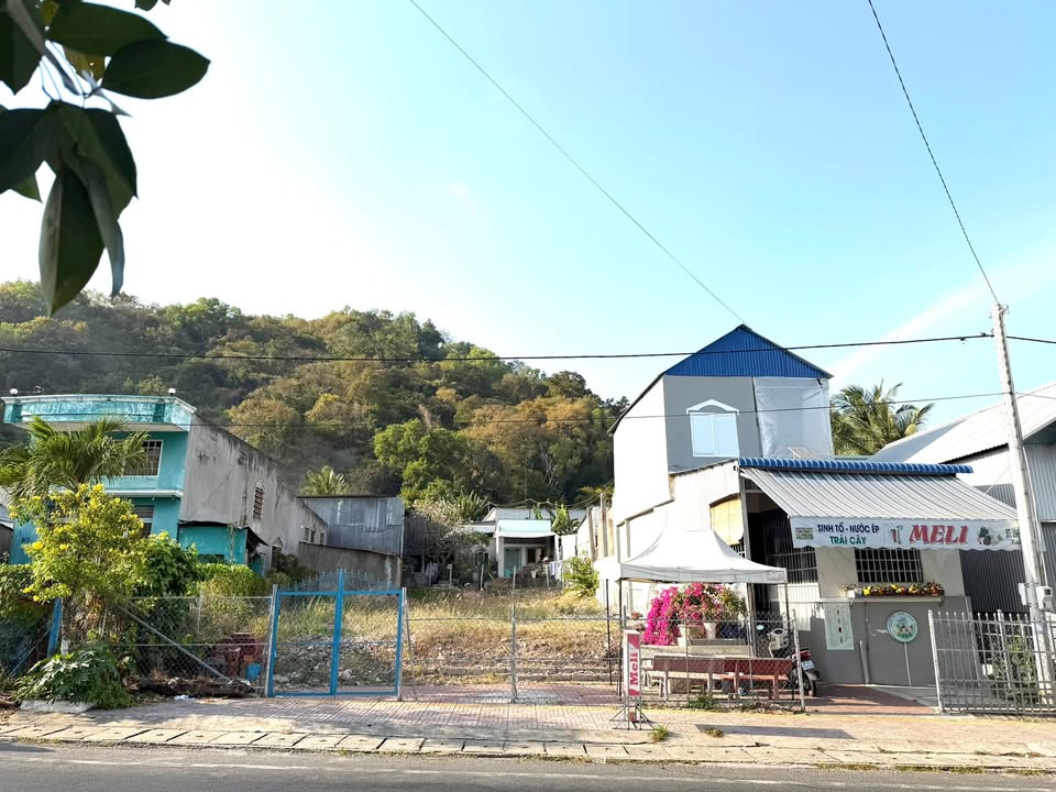 Đất nền mặt tiền Đường Trà Sư, Thới Sơn, An Giang 264m² - Đầu tư sinh lời cao!