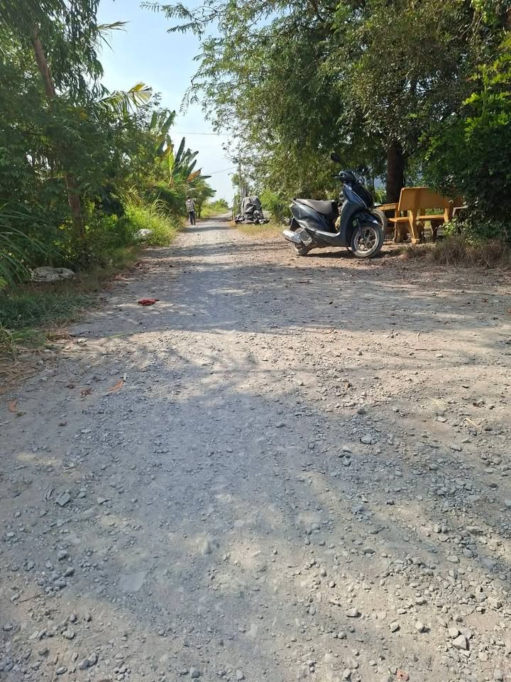 Farm 10.000m² tại Xóm Rẫy, Gò Công Đông, Tiền Giang giá chỉ 5 tỷ - Cơ hội đầu tư hấp dẫn!