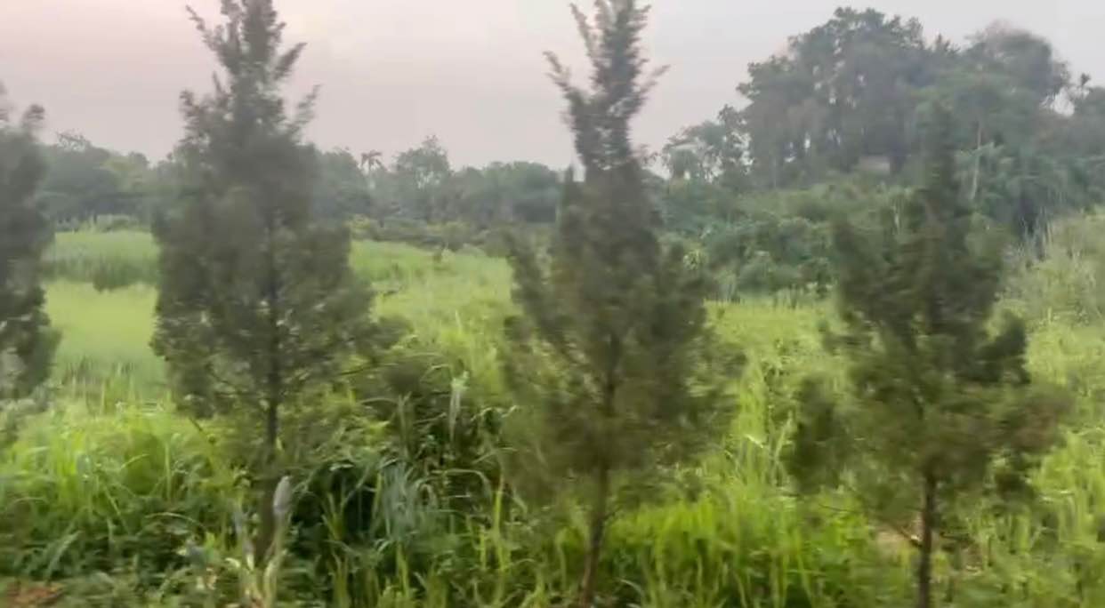 Đất thổ cư Yên Bài 869m² giá thỏa thuận - Sổ hồng chính chủ, gần làng văn hóa