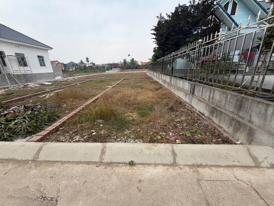 Đất nền chính chủ tại Tân Viên, An Lão, Hải Phòng 71m² - Giá chỉ 800 triệu!