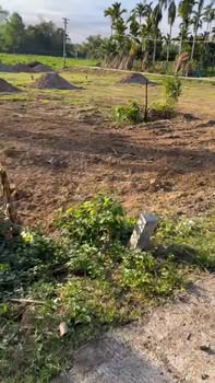 Đất Long Phụng Mộ Đức 156m² giá 390 triệu - Cơ hội đầu tư vàng cho vợ chồng trẻ!