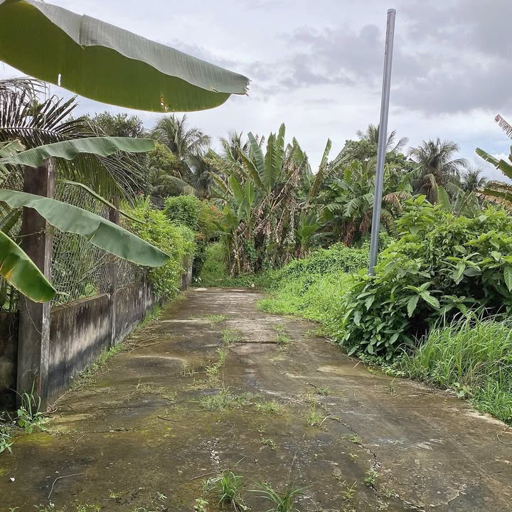 Đất nền Xã Mỹ Thạnh An, Tp Bến Tre 84m² giá 460 triệu - Đầu tư sinh lợi!