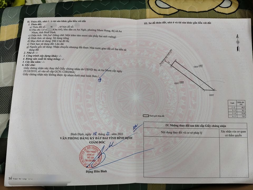 Đất nền Phường Nhơn Hưng, Thị xã An Nhơn 186m² giá 1 tỷ - Cơ hội đầu tư hấp dẫn!