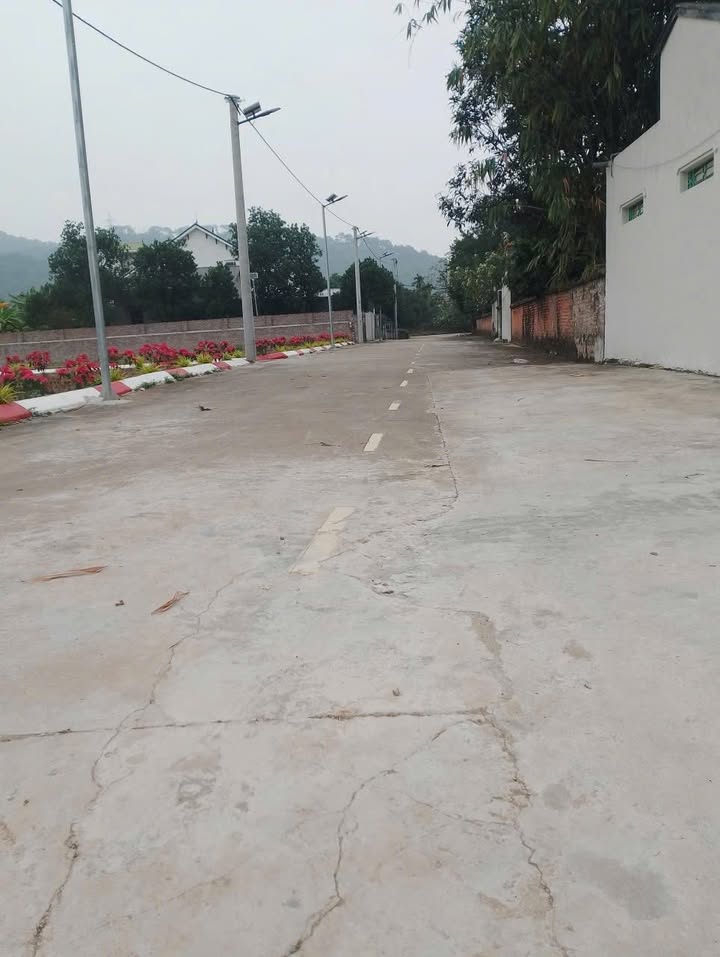 Đất vườn 1612m² tại Minh Phú, Sóc Sơn - Giá cực tốt chỉ 10 triệu/m²!