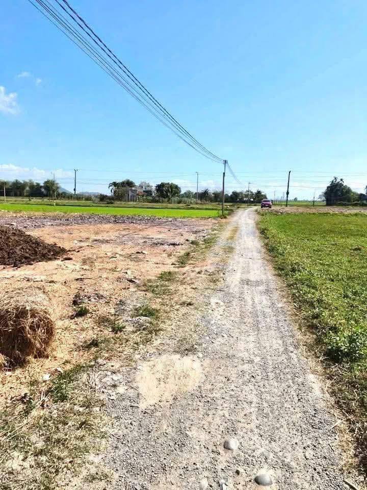 Đất thổ cư Ninh An - Ninh Hòa 200m² giá chỉ 3xx triệu - Cơ hội đầu tư tuyệt vời!