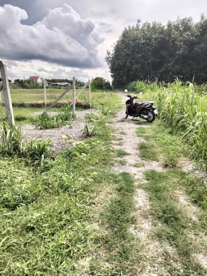 Đất nền 279m² Khu phố An Thới, Tây Ninh chỉ 600 triệu - Đầu tư sinh lời ngay!