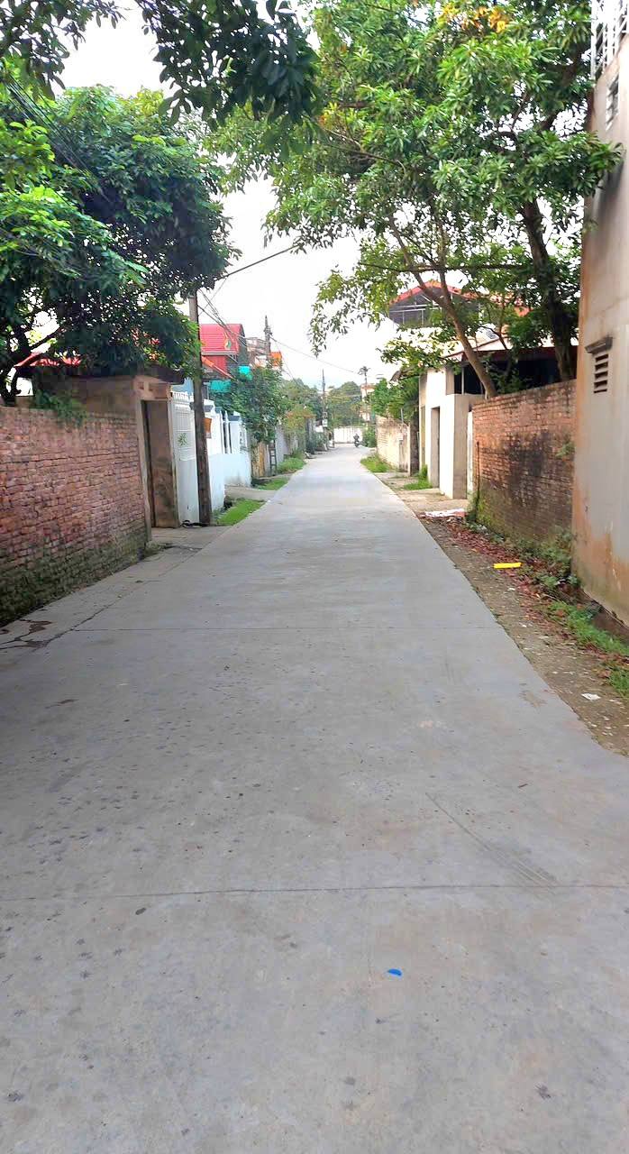 Đất thổ cư 115m² tại TDP Đông Hương - Đầu tư sinh lời ngay sát KCN Yên Lừ