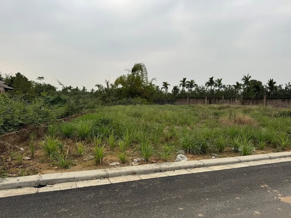 Đất thổ cư 345m² xã Phú Cát, huyện Quốc Oai - Khuôn đất đẹp, giá thỏa thuận!