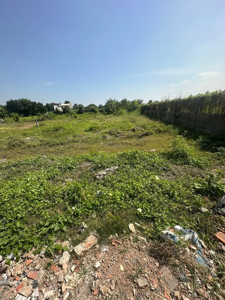 Lô đất thổ cư 115m² tại Quận Bình Tân - Giá chỉ 950 triệu - Sổ hồng riêng!