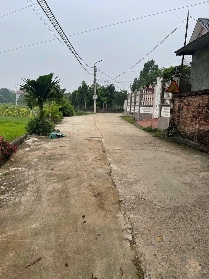 Đất nền chính chủ 1.080m² tại phường Tùng Thiện, giá đầu tư chỉ vài triệu/m²!