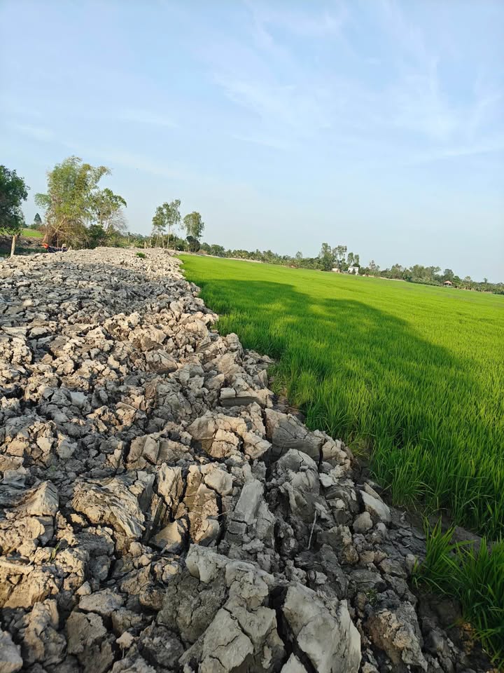 Đất nền 918m² tại Xã Mỹ Khánh, An Giang - Giá chỉ 270 triệu