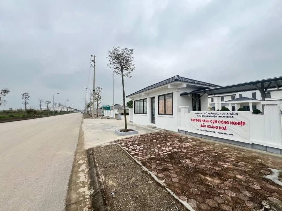 Lô đất trục kinh doanh tại Hoằng Kim 123m² giá 3 tỷ - Cơ hội đầu tư hiếm có!