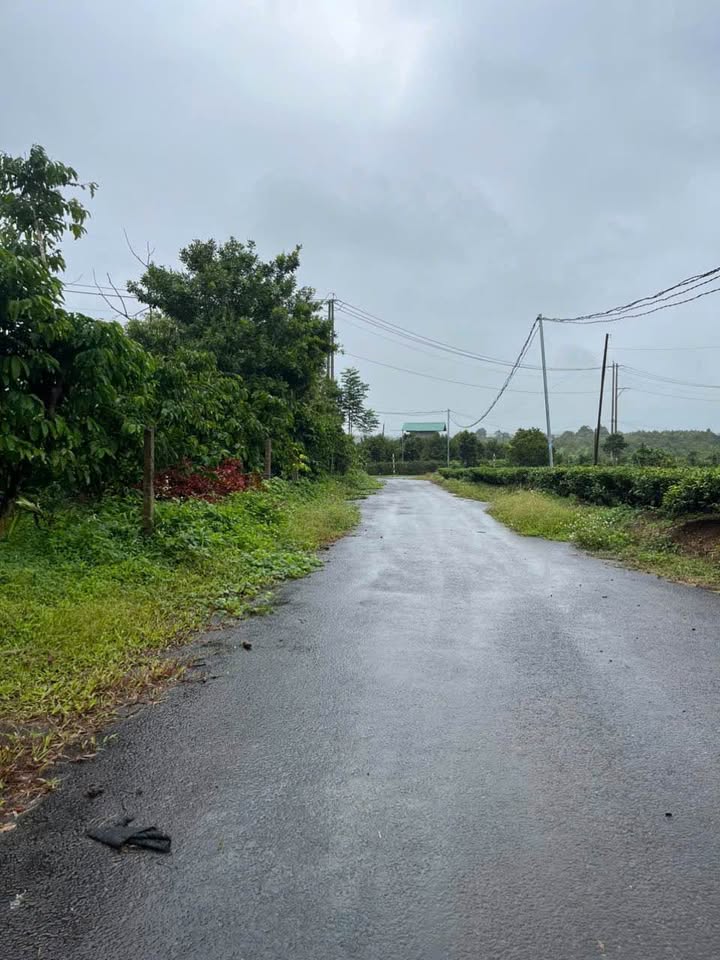 Đất nền Lộc Nga Bảo Lộc 500m² giá chỉ 2 tỷ - Đầu tư lý tưởng!