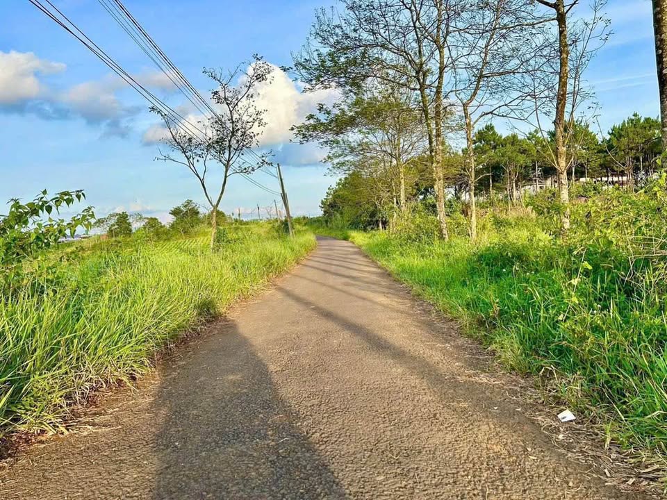 Đất nền Lý Thái Tổ, Bảo Lộc 500m² giá 1.62 tỷ - Đầu tư sinh lời ngay!