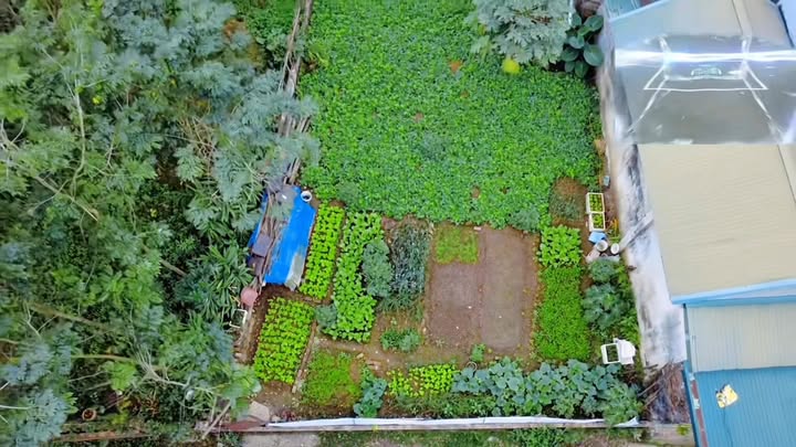 Đất nền Phường Nông Trang, Việt Trì 148m² - Đường thông ô tô, đầu tư sinh lời!