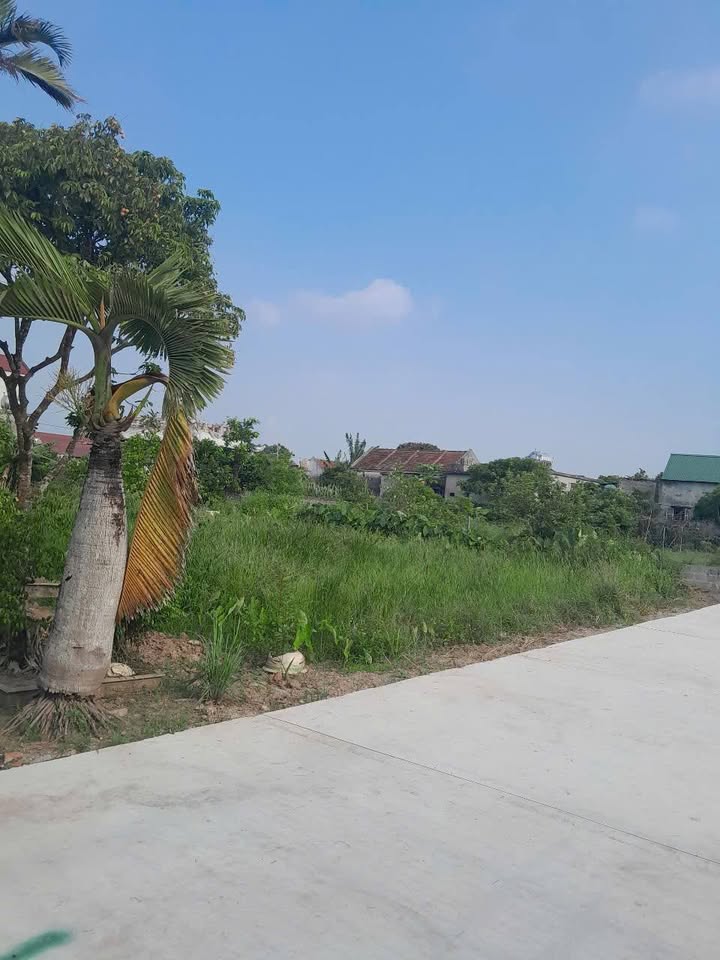 Lô đất thổ cư 217m² tại Thị trấn Yên Định, Hải Hậu - Ô tô đậu tận nơi!