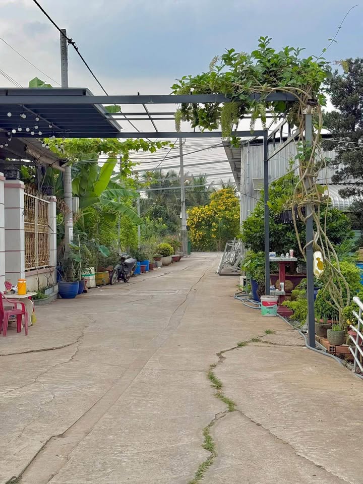 Bán đất nền Mỹ Hưng, Mỹ Phong 70m² - Pháp lý rõ ràng, giá thỏa thuận!