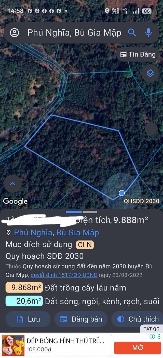 Đất dốc 10.000m² tại thôn Đức Lập, xã Phú Nghĩa giá chỉ 350 triệu - Cơ hội đầu tư lý tưởng!