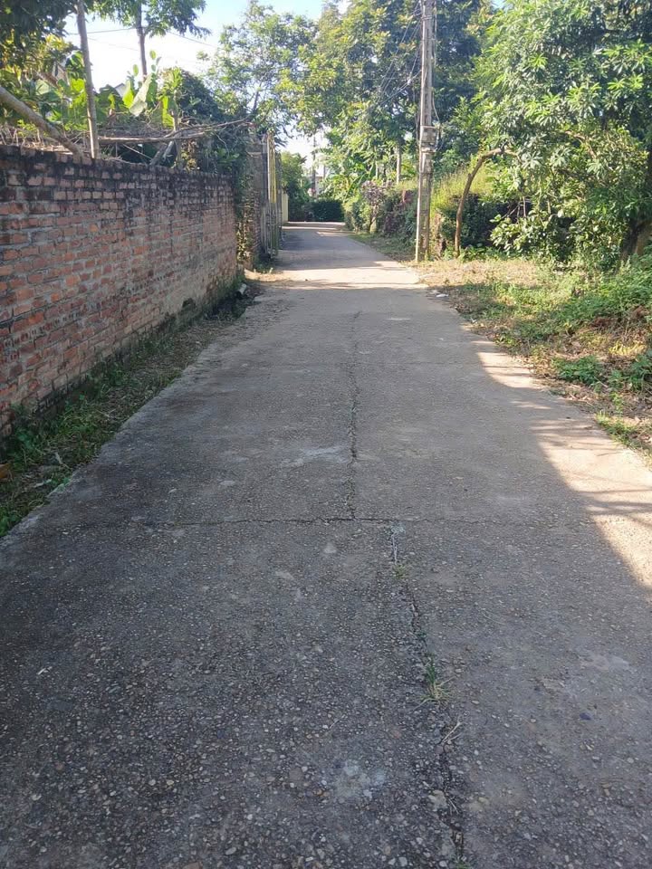 Đất thổ cư tại Xã Sông Lô, Việt Trì 135,2m² giá 1.2 tỷ - Cơ hội đầu tư hấp dẫn!