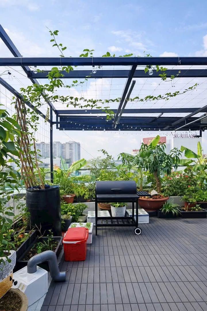 Nhà phố 6 tầng Lũy Bán Bích, Phú Thạnh, 48m² giá 8.8 tỷ - Hẻm xe tải thông thoáng!