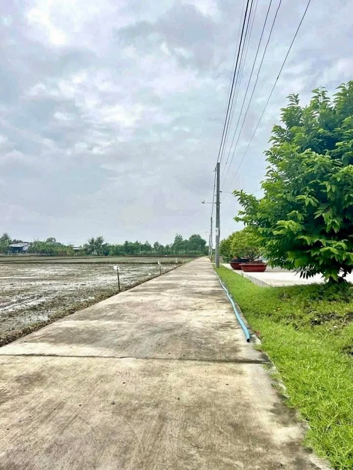 Đất nông nghiệp Ông Non, Tân Quý Tây, 3063m² giá 2.1 tỷ - Cơ hội đầu tư hấp dẫn!