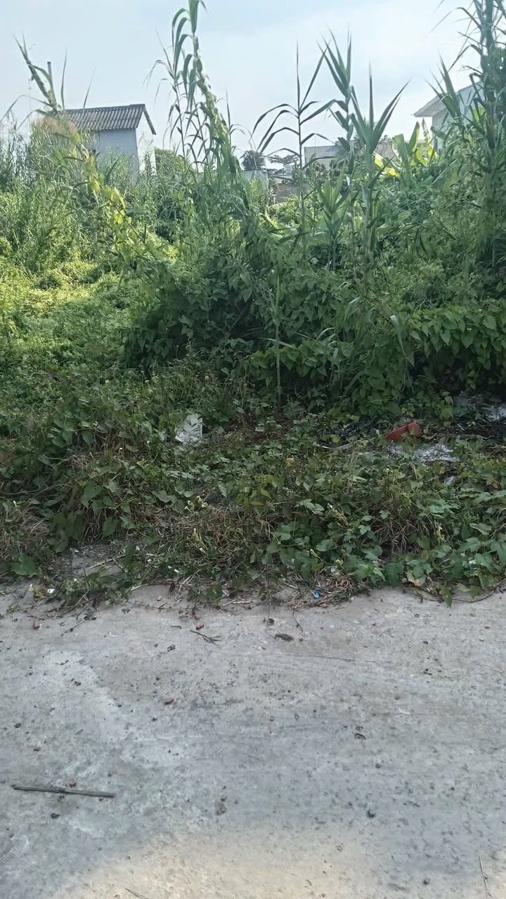 Đất nền mặt tiền đường 6m Thị trấn Cái Bè 521m² giá 1.65 tỷ - Khu vực an ninh cao!