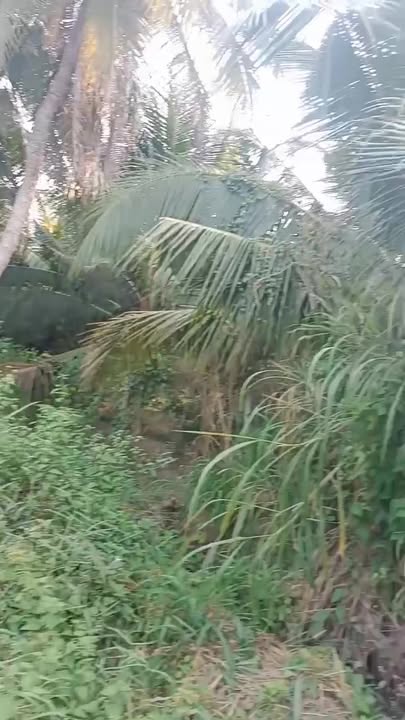 Đất nền Xã Bình Hàng Trung, Đồng Tháp 519m² giá 400 triệu - Đầu tư sinh lời ngay!