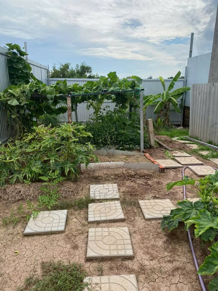 Bán nền đất có nhà vườn đường Nguyễn Thị Minh Khai 202m² giá 450 triệu - Cơ hội đầu tư tốt!