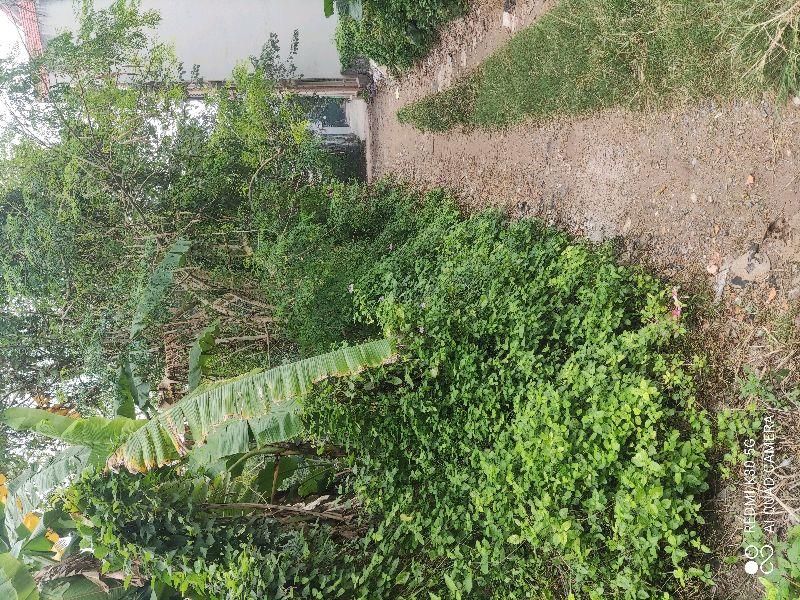 Đất nền Ngọc Thụy 174m² giá 5.3 tỷ - Đầu tư sinh lời hấp dẫn!