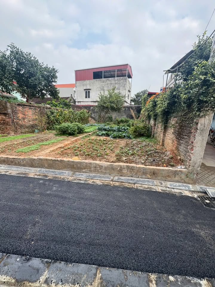 Đất thổ cư Xã Việt Hùng, Huyện Đông Anh, 91,5m² - Cơ hội đầu tư sinh lời cao!