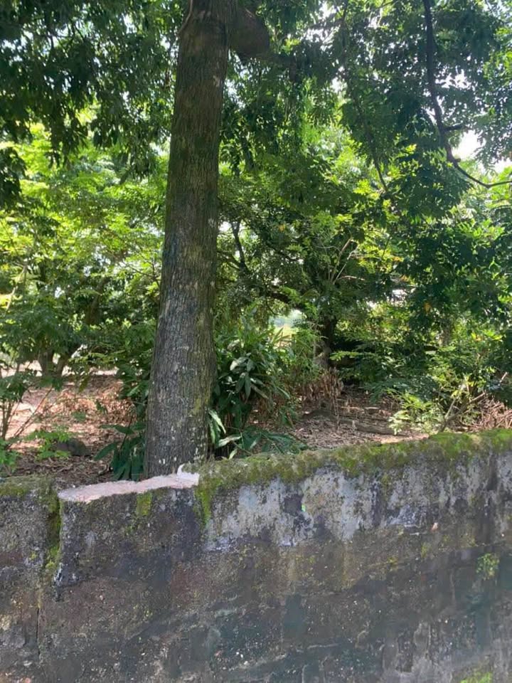 Đất nền Phường Đại Cương, Thị xã Kim Bảng 247m² giá 3 tỷ - Đầu tư sinh lời ngay!