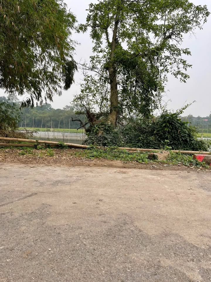 Đất nền lô góc xã Tiên Hiệp 72m² giá 1.9 tỷ - Cơ hội đầu tư tuyệt vời!