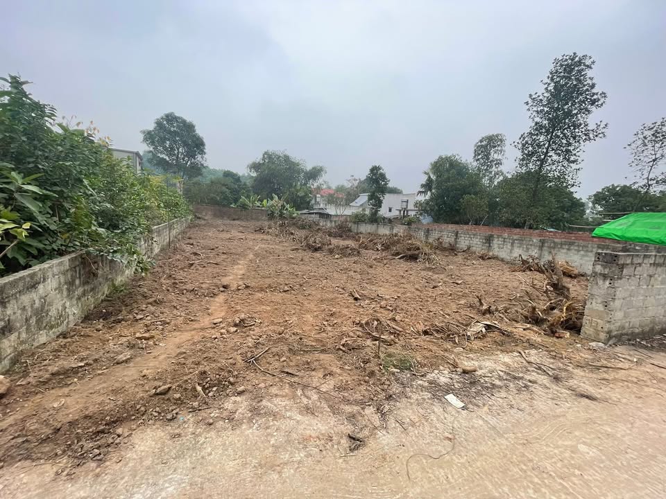 Đất nền Phường Thanh Vinh, TX Phú Thọ 245m² chỉ 900 triệu - Cơ hội đầu tư sinh lời!