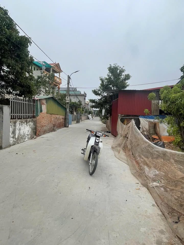 Đất nền Trục Chính, Bình Giang 81m² giá 1.2 tỷ - Cơ hội đầu tư không thể bỏ lỡ!
