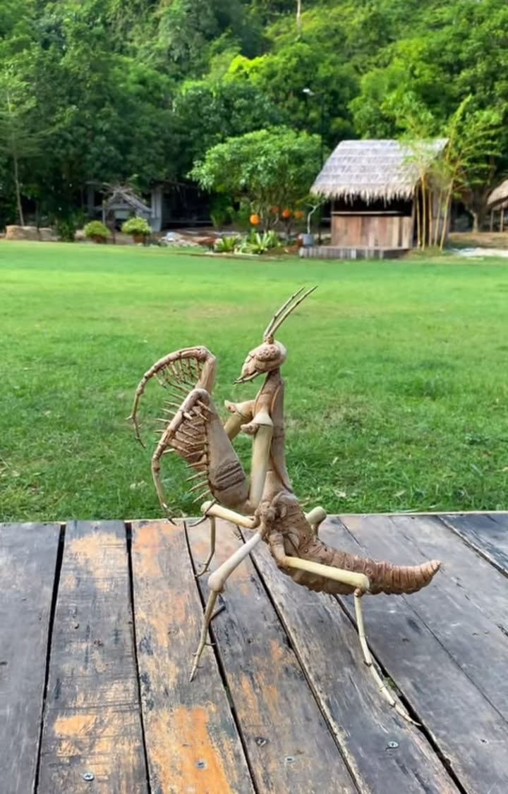 Đất mặt tiền Hàng Đồng, Phường Quang Trung, 310m² giá chỉ 1x tỷ - Cơ hội đầu tư hấp dẫn!