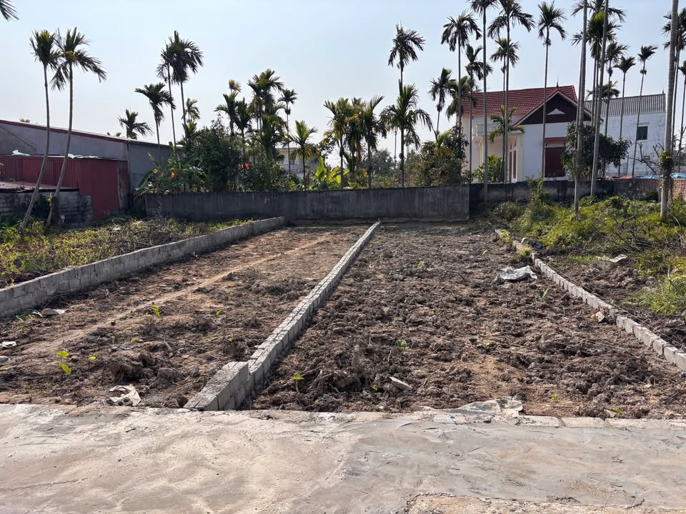 Lô đất Tư Thuỷ, Quận An Dương 83m² giá chỉ 1.x tỷ - Cơ hội đầu tư hấp dẫn!