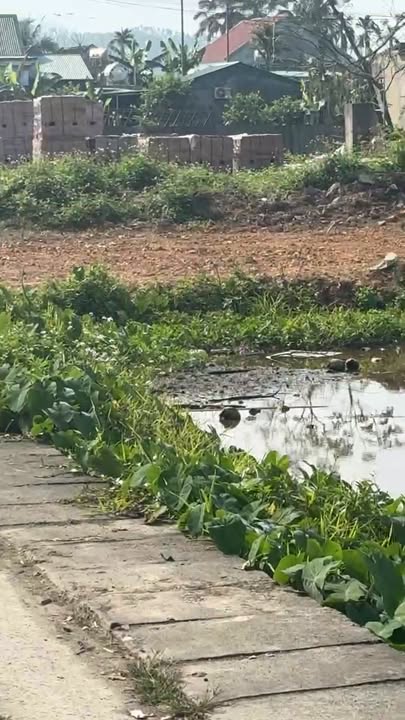 Đất thổ cư Đồng Lộc, Can Lộc, Hà Tĩnh 232m² giá 1 tỷ - Cơ hội đầu tư hấp dẫn!