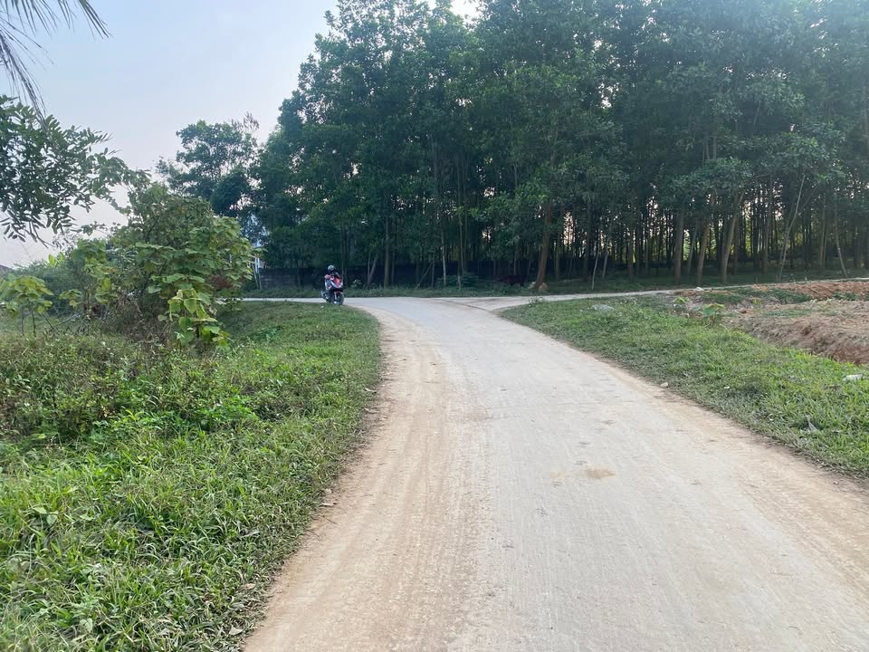 Lô đất 2000m² Triệu Sơn, Thanh Hóa - Sổ đỏ, giá chỉ 2 tỷ, mặt tiền 60m, bám đường bê tông