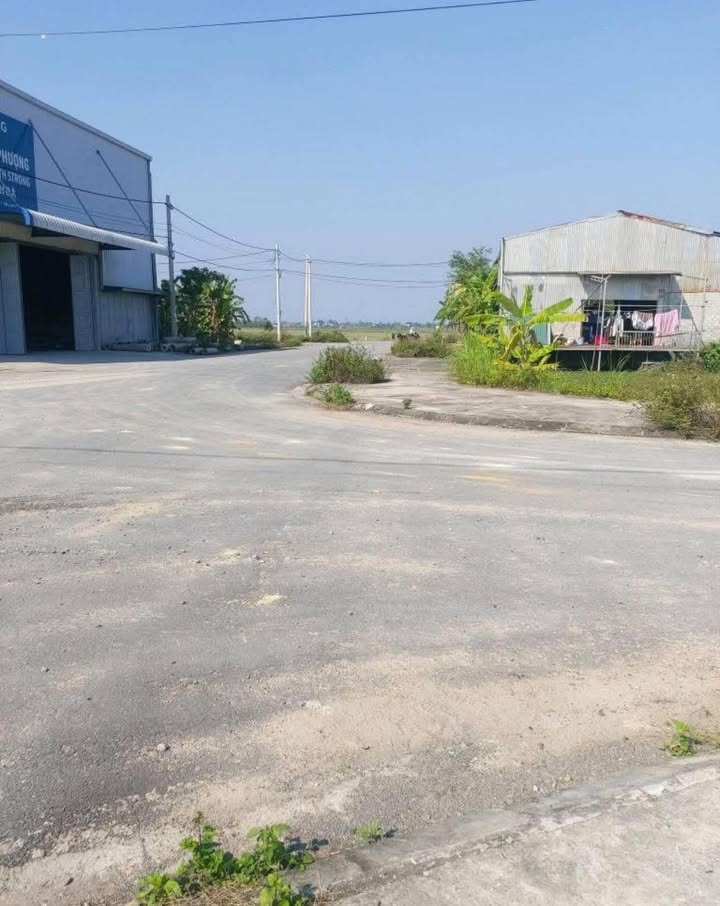 Đất nền Huyện Triệu Sơn 125m² giá 800 triệu - Chính chủ cần bán gấp!