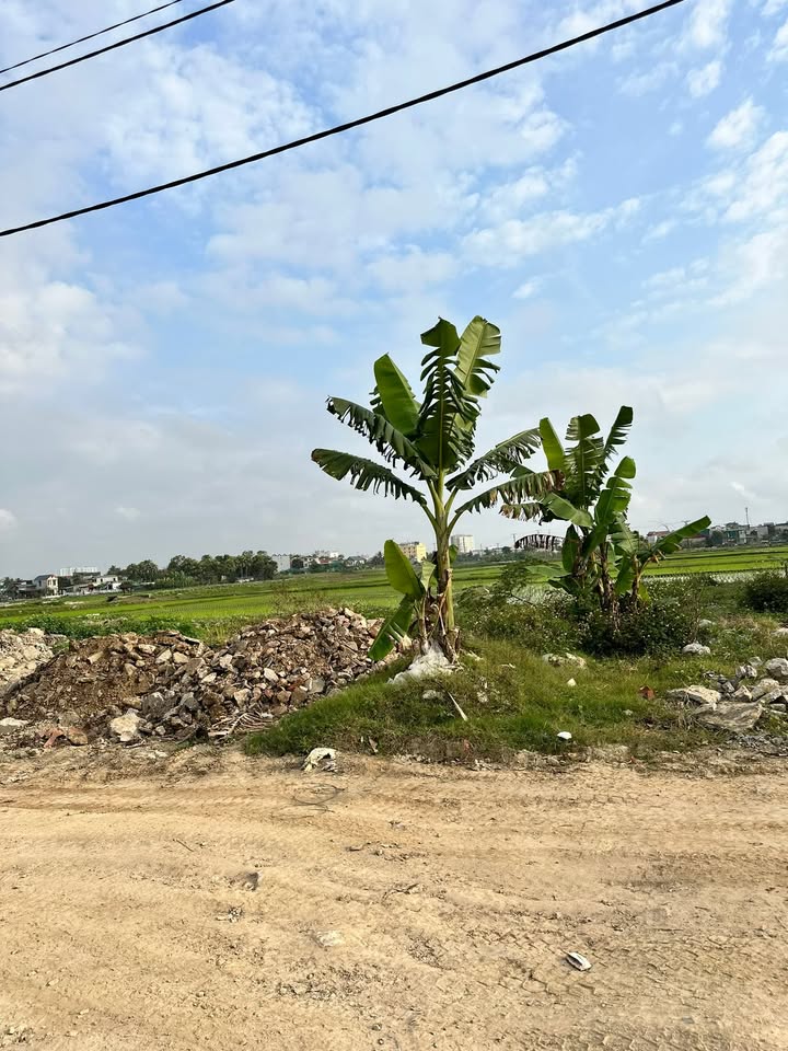 Lô đất MB 26 Quảng Thịnh 125m² giá thỏa thuận - Vị trí đẹp, an ninh tốt!