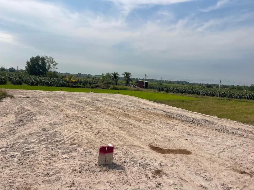 Đất nền 150m² tại đường Hàm Chính 6, Quận 4 - Giá chỉ 350 triệu - Đặc địa cho đầu tư!