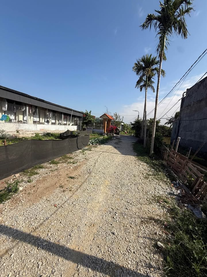 Lô đất Tân Tiến, An Dương, 114m² giá 1.45 tỷ - Đầu tư sinh lời tại khu công nghiệp!