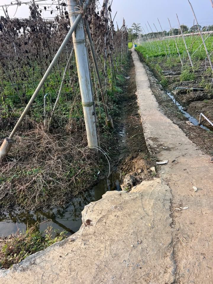 Đất nền 1448m² tại Bình Ân, Gò Công Đông - Sổ đỏ chính chủ giá 400 triệu