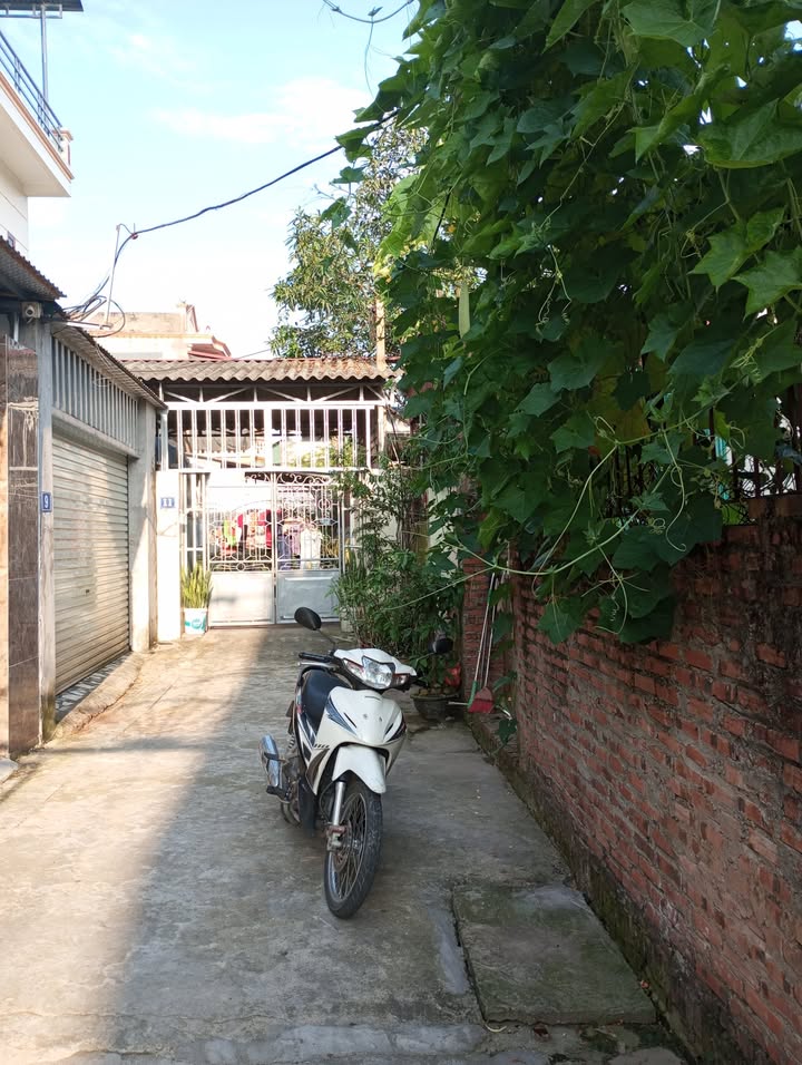 Bán đất 53m² tại ngã tư Trâu Quỳ - Sổ đỏ chính chủ, chỉ 4 tỷ!