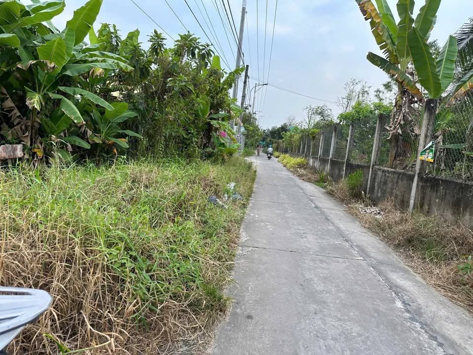 Đất nền liền kề Sơn Đông, Bến Tre 162m² giá 860 triệu - Pháp lý rõ ràng!