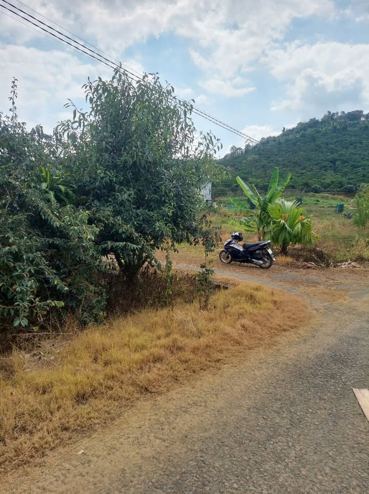 Đất thổ cư 3600m² tại Bảo Lộc - Giá chỉ 2.9 tỷ - Cơ hội đầu tư hiếm có!